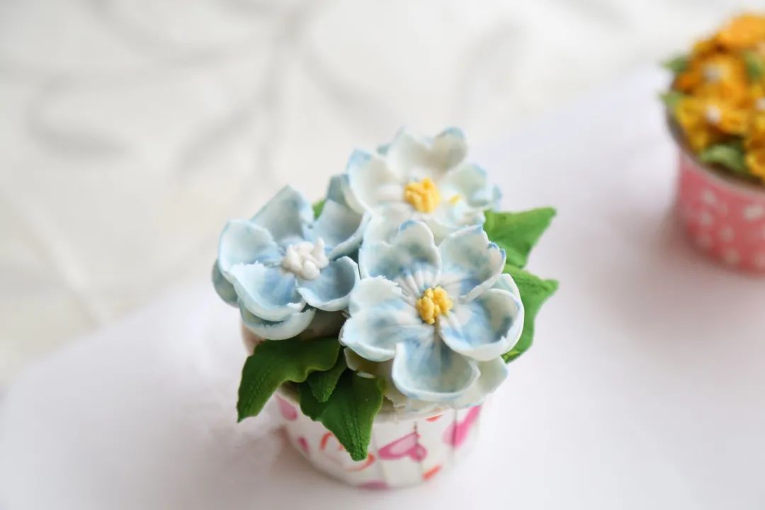 春暖花开,安徽新东方送你一朵不会凋谢的花