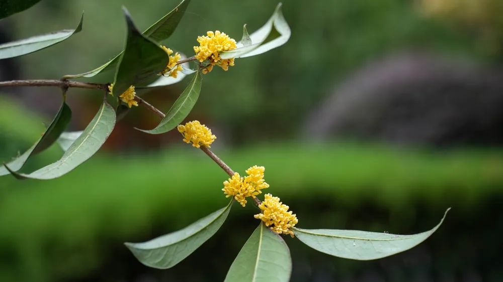 在安徽新东方,遇见更好的我们!